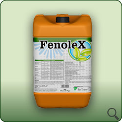 Fenolex