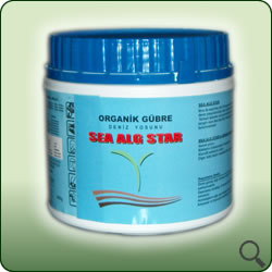 sea alg star