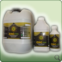 zinc max